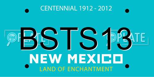BSTS13 New Mexico License Plate