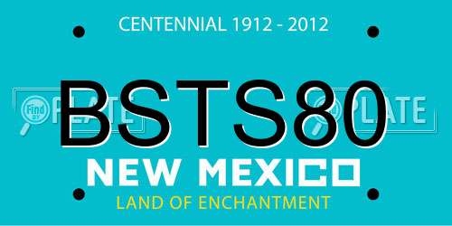 BSTS80 New Mexico License Plate