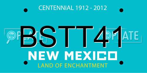 BSTT41 New Mexico License Plate