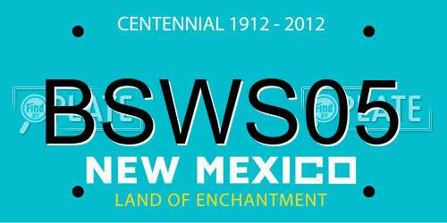 BSWS05 New Mexico License Plate
