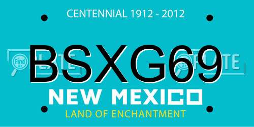 BSXG69 New Mexico License Plate