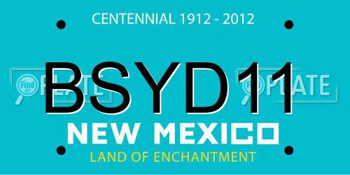 BSYD11 New Mexico License Plate