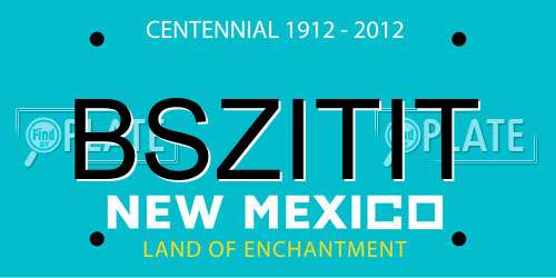 BSZITIT New Mexico License Plate