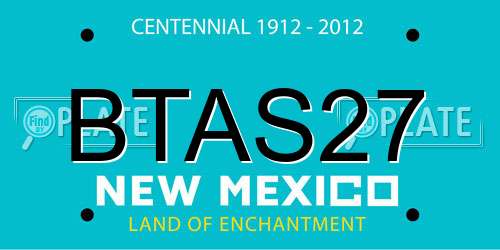 BTAS27 New Mexico License Plate