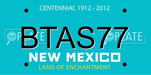 BTAS77 New Mexico License Plate