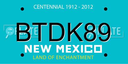 BTDK89 New Mexico License Plate