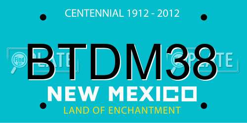 BTDM38 New Mexico License Plate