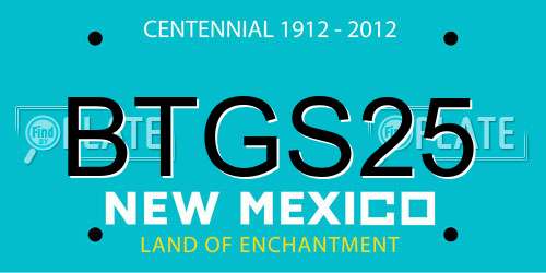 BTGS25 New Mexico License Plate