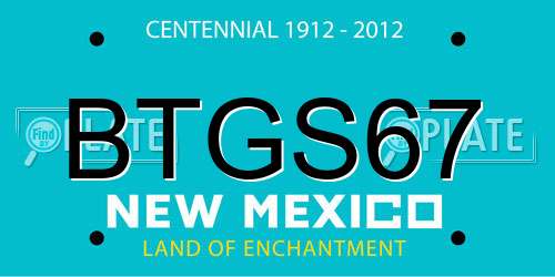BTGS67 New Mexico License Plate