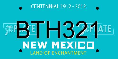 BTH321 New Mexico License Plate