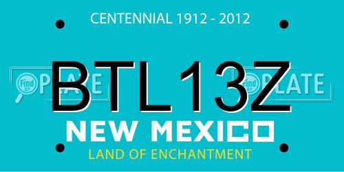 BTL13Z New Mexico License Plate