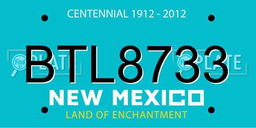 BTL8733 New Mexico License Plate