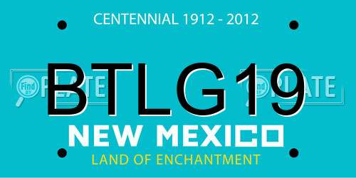 BTLG19 New Mexico License Plate