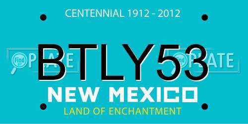 BTLY53 New Mexico License Plate
