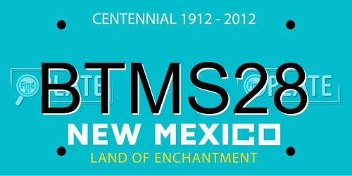 BTMS28 New Mexico License Plate