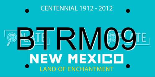 BTRM09 New Mexico License Plate