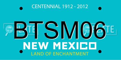 BTSM06 New Mexico License Plate