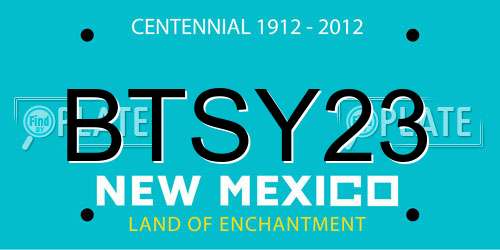 BTSY23 New Mexico License Plate