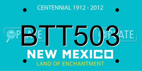 BTT503 New Mexico License Plate