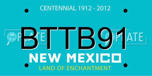 BTTB91 New Mexico License Plate