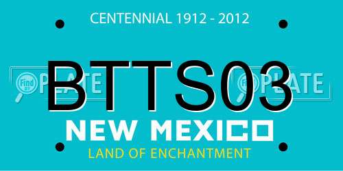 BTTS03 New Mexico License Plate