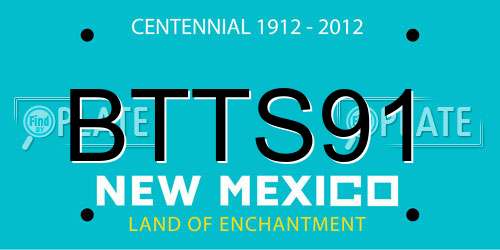 BTTS91 New Mexico License Plate
