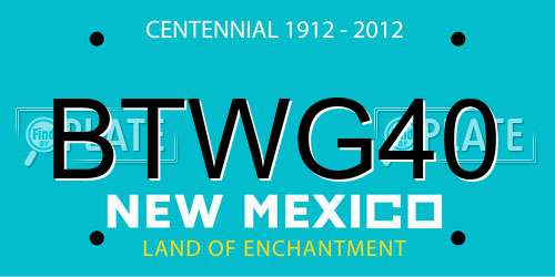 BTWG40 New Mexico License Plate