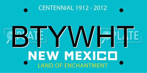 BTYWHT New Mexico License Plate