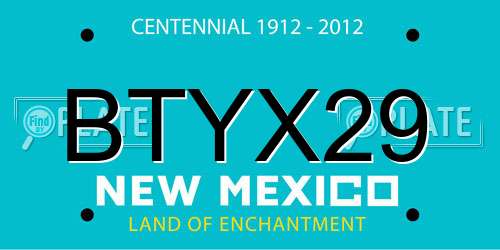 BTYX29 New Mexico License Plate