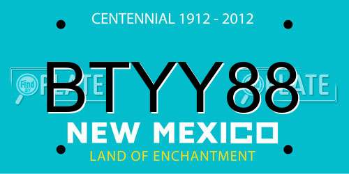 BTYY88 New Mexico License Plate