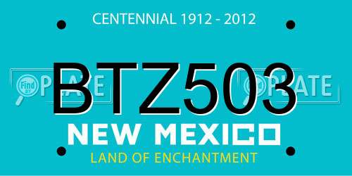 BTZ503 New Mexico License Plate