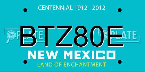 BTZ80E New Mexico License Plate