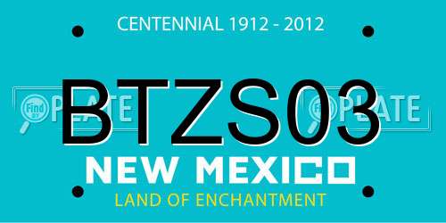 BTZS03 New Mexico License Plate