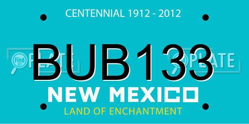 BUB133 New Mexico License Plate