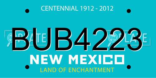 BUB4223 New Mexico License Plate