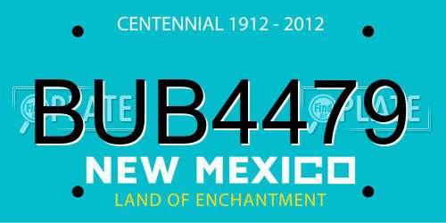 BUB4479 New Mexico License Plate