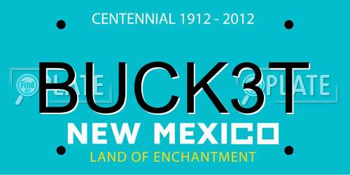 BUCK3T New Mexico License Plate