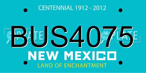 BUS4075 New Mexico License Plate