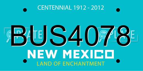 BUS4078 New Mexico License Plate