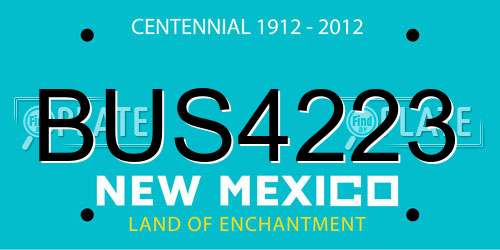 BUS4223 New Mexico License Plate