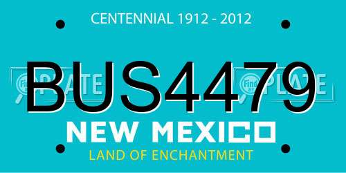 BUS4479 New Mexico License Plate