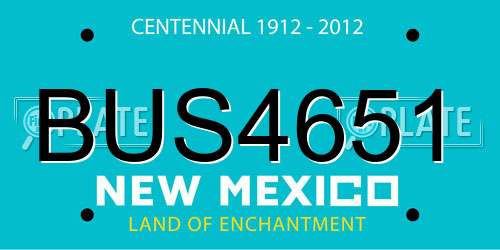 BUS4651 New Mexico License Plate