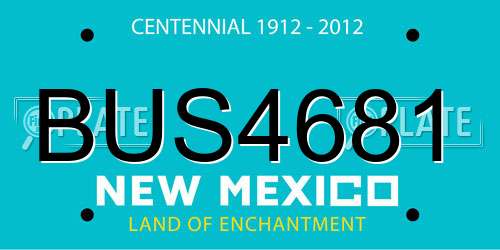 BUS4681 New Mexico License Plate