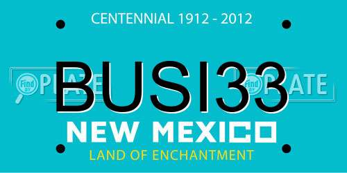BUSI33 New Mexico License Plate