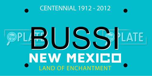 BUSSI New Mexico License Plate
