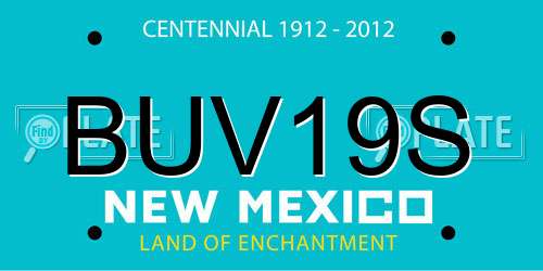 BUV19S New Mexico License Plate