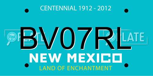 BV07RL New Mexico License Plate
