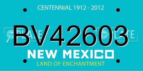 BV42603 New Mexico License Plate