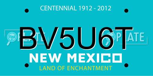 BV5U6T New Mexico License Plate
