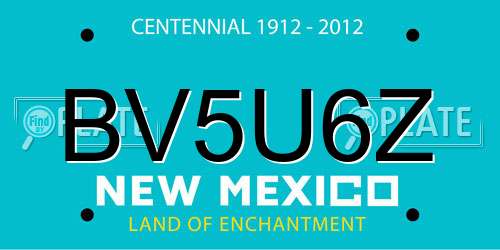 BV5U6Z New Mexico License Plate
